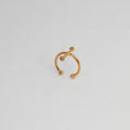 RING TRANSVERSAL